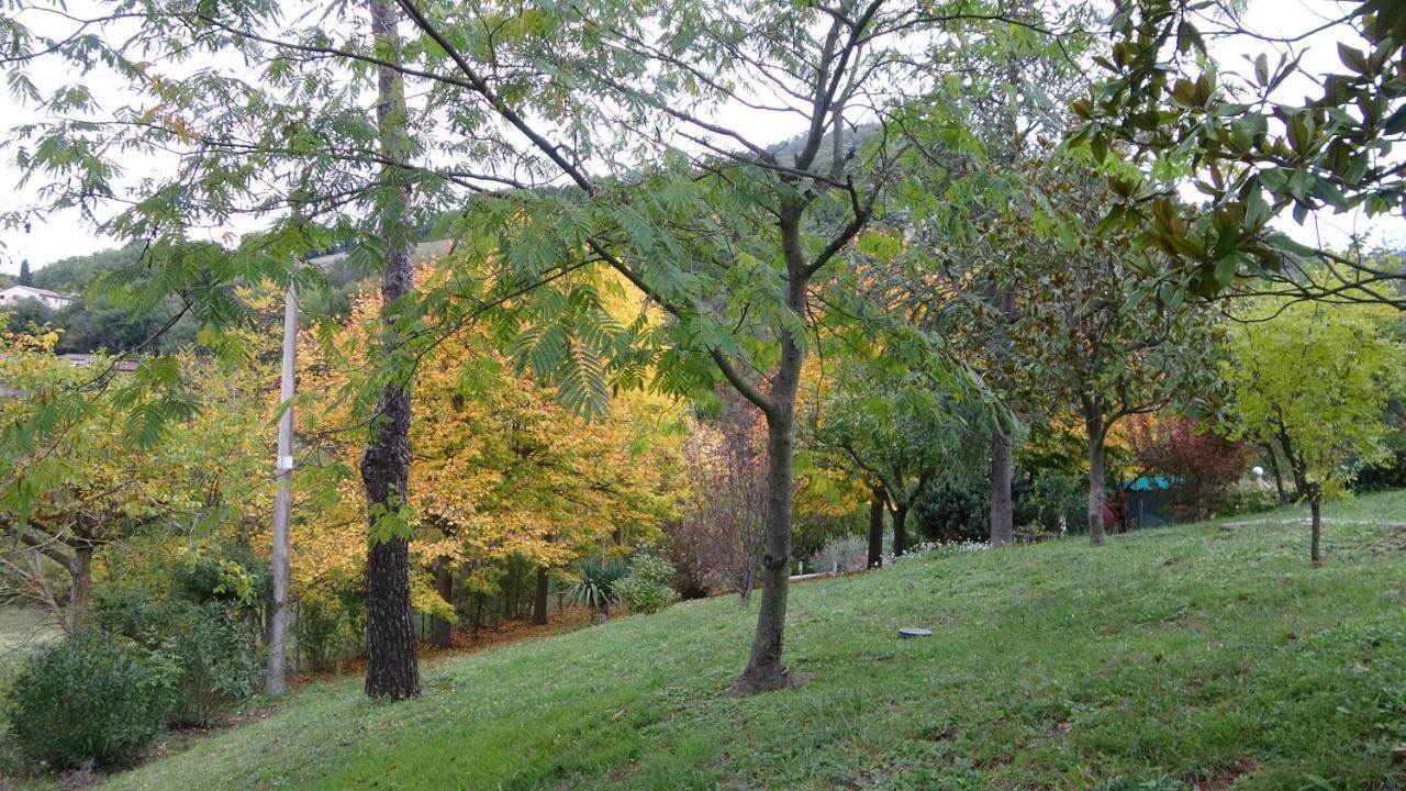 B&B La Poiana Canavaccio di Urbino エクステリア 写真